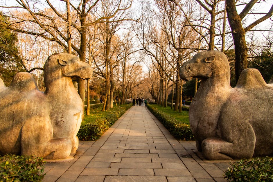 Two ancient stone camel statues line a serene pathway surrounded by trees during autumn, creating a timeless and tranquil scene.
