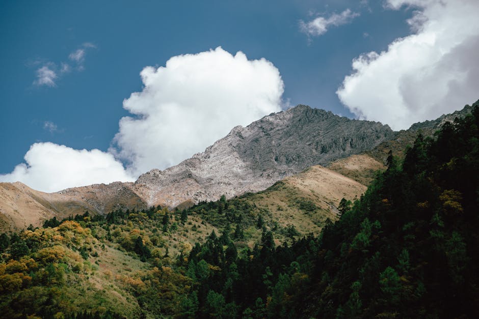 A breathtaking view of a mountain peak surrounded by dense forest and vibrant skies.